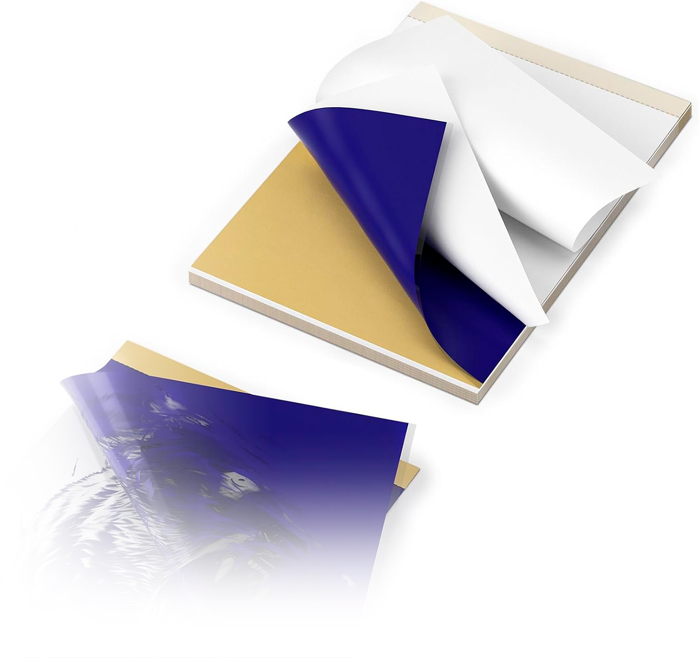 Бумага для Xprinter P84