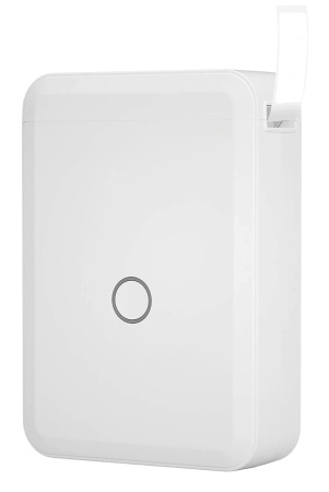 NIIMBOT D110 White__